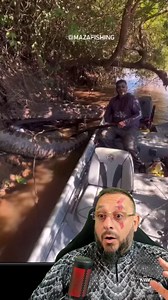 2.1M views · 33K reactions | Sucuri gigante pode ter morrido entalada...