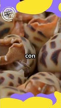 🐌 ¡Caracoles INCREÍBLES! 🌧️ | Naturaleza asombrosa para niños | Canal 10/10 #caracol #curiosidades