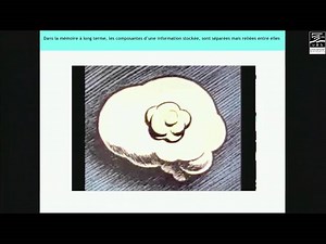 Conférence | Le cerveau pour allié en classe ?