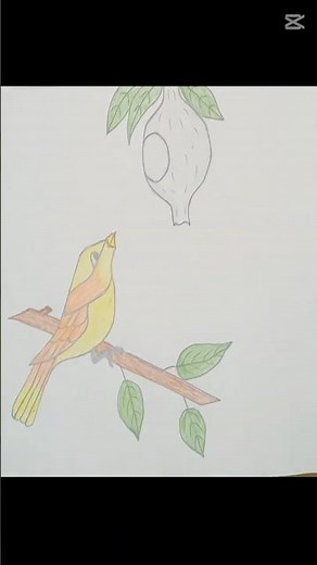 "How to Draw a Bird on Tree Branch with Nest | Easy Drawing for Beginners"