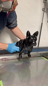 4.4M views · 35K reactions | Hydro Dipping Bulldogge #satisfying #hydrodipping | HTF-Wassertransferdruck | Facebook