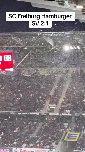 SC Freiburg Defeats Hamburger SV 2:1 in Bundesliga Match