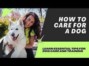How to Care for Dogs: A Complete Owner’s Handbook