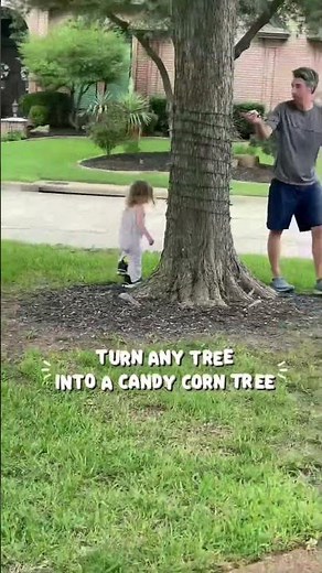 DIY Outdoor Halloween Decorations | Halloween Lights | Candy Corn Theme Halloween Decor #halloween