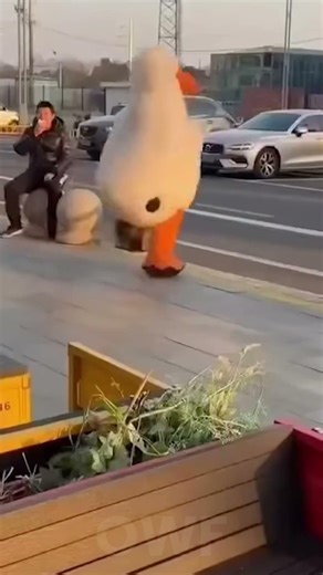 People Doing Stupid Things😆| TOTAL IDIOTS AT WORK | Instant Regret Fails Compilation 2026 | Short #8