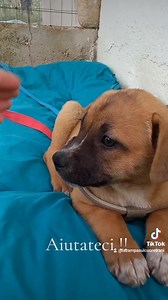 4.9K views · 277 reactions | FERMATI  NON SCORRERE SENZA CONDIVIDERE...