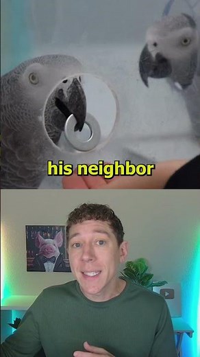 Teaching Birds Capitalism Had Unexpected Results