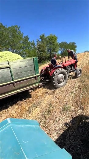 IDE IMT 539 #poljoprivreda #traktor #poljoprivrednik