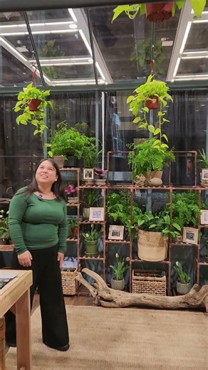 Inside Our Dusk Blue Cape Cod Greenhouse | Northwest Flower & Garden Show Display Tour