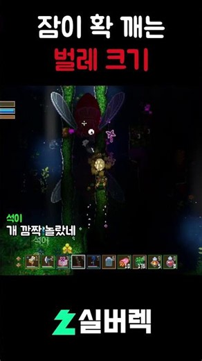 요즘 여름 벌레는 크네
