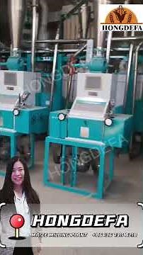 30t maize mill in Kenya