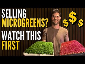 How to Sell Microgreens (Without Farmers Markets) | Free Mini Course
