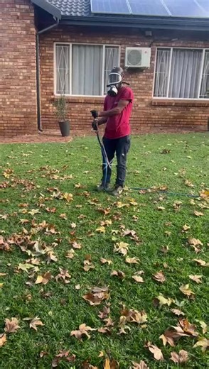 Ant and termite treatment 0699675736 or 0117323422