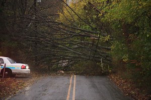 Lawrence Township: What's Going On With Sandy?