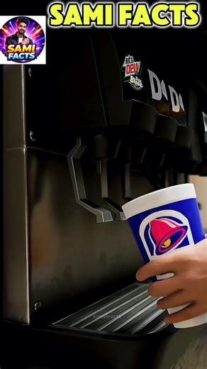 Discover Fascinating Facts About Knowledge