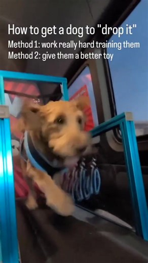 The easiest way to get a dog to drop a toy #rundawg #mobiledoggym #dogexercise #funnydogs | Run Dawg