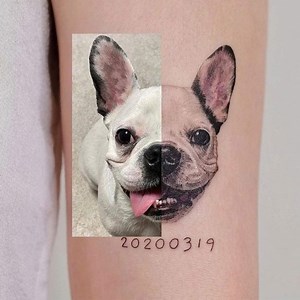 50 French Bulldog Tattoos in Creative Styles