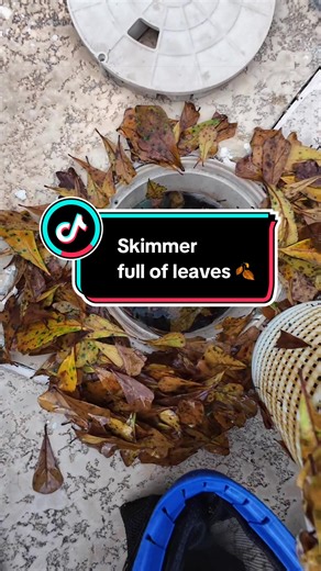 Effective Pool Skimmer Cleanup Tips