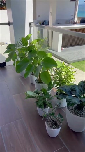 KITCHEN VIEW // ROSEVILL THE DORA EXPLORER #asmr #viral #shortvideo #views