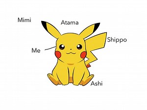 Describing Body Parts