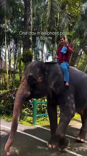 Exploring Elephant Park in Bali: A Day with Majestic Giants!