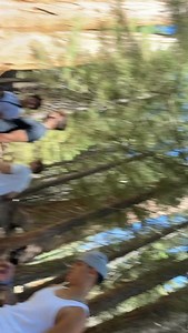 En el corazón de California se alza un bosque donde el tiempo parece detenerse: el Parque Nacional Sequoia 🌲✨. Aquí viven los árboles más grandes del planeta, como el majestuoso General Sherman, que mide más de 83 metros de alto y pesa unas impresionantes 2,000 toneladas 😲. Caminar entre estas secuoyas gigantes, algunas con más de 2,000 años de vida, es como viajar a otra era. Además, el parque es hogar de paisajes que van desde valles profundos hasta picos nevados como el Monte Whitney, el má
