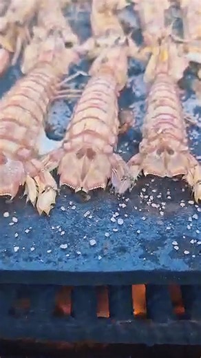 "¿QUÉ HACER ESTE FINDE? 👇" ​"Ruta del Mosto 🍷" ​"Temporada de Galeras 🦐" ​"¡Lugar: #CHIPIONA ​ ¡Aviso para navegantes! 📣 Este fin de semana se celebra la Ruta del Mosto y la Galera. El momento perfecto para disfrutar del vino nuevo y el mejor marisco de nuestra costa. 🗓️ ¿Cuándo? 9 y 11 de Enero. 📍 ¿Dónde? Consulta el cartel 👌 ¡No dejes que te lo cuenten! 🏃‍♂️💨 #AgendaFinDeSemana #Mosto #Galera #TurismoGastronomico Chipiona En Red Chipiona Natural Turismo de la provincia de Cádiz Turism