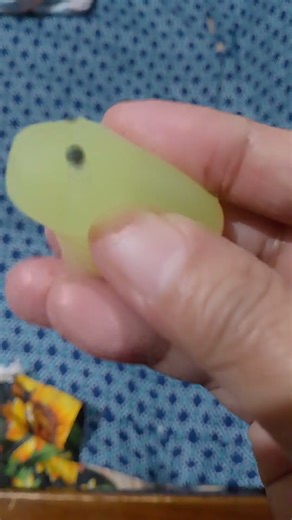 squishy frog #shortvideo #shorts