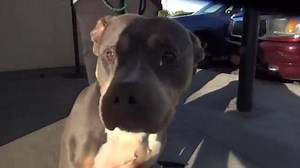 4.2K views · 583 reactions |  ISOBEL'S FREEDOM VIDEO!  She spent 2...