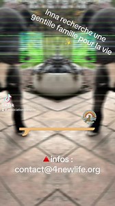 2.5K views · 33 reactions | Inna chiot femelle fr#puppy #Roumanie #romania #chiot #adoption #sauvetage #association4newlife #chiens #puppy #Roumanie #romania #chiot #adoption #sauvetage #association4newlife #chiens ⁣#adoptdontshop #adopteddog #animals #dogoftheday #happydog #lovedogs #puppies #puppiesofinstagram #puppylife #puppylove #rescuedog | Association4newlife | Facebook