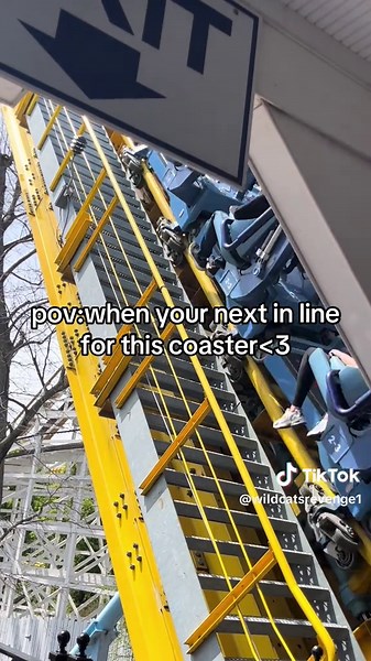 Excitement at Hersheypark: My First Roller Coaster Ride