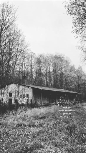 Zuhause: Ein Gefühl des Ankommens