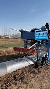 Mulching with mini tractor 🌱🚜 | Agriculture World