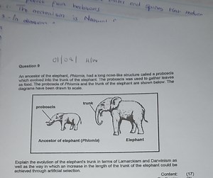 Question:Explain the evolution of the elephant's trunk in ter... | Filo