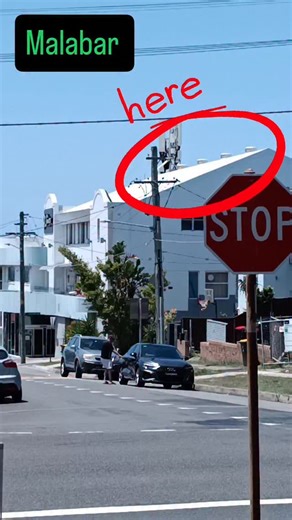Balanced Building Biology on Instagram: "Another angle of the same Malabar cell tower causing extremely high #RF #EMF #exposure with another #school nearby. Prolonged exposure to low power microwave radiation can inhibit the proliferation of rabbit lens epithelial cells by upregulating P27Kip1 expression, potentially leading to a decline in lens epithelial cell growth and increasing the risk of cataract development. (Liu et al., 2004) Prolonged exposure to low-intensity electromagnetic fields (E