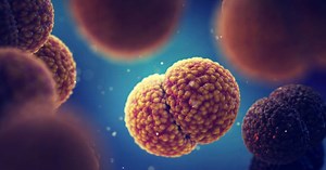 Qué es la meningitis: sus causas y sus síntomas