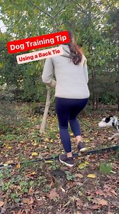 A back tie in dog training is a method used to secure a dog to a fixed point, allowing them to move freely within a limited area while preventing them from wandering off. This technique is often employed to teach impulse control, reinforce training commands, or manage behavior in a controlled setting. The dog is typically attached to a sturdy anchor point, like a post or a tree, using a long leash or tie-out. It’s important to supervise the dog while using a back tie to ensure their safety and w