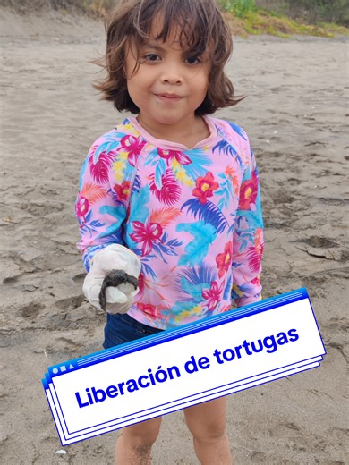 Que la luna las guíe, que el mar las proteja y que la naturaleza las reciba. Enseñándole a mi hija que amar la vida es la herencia más hermosa. 🌙🌊🐢 #paratiiiiiiiiiiiiiiiiiiiiiiiiiiiiiii #ticktock #viral #mamaehija #conservación
