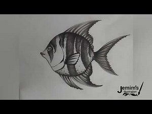 How to Draw a Tropical Fish 🐠 | Step-by-Step Pencil Sketch