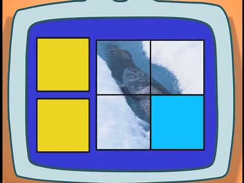 Go, Diego, Go! Ringed Seal Puzzle