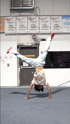 Cartwheel Tutorial