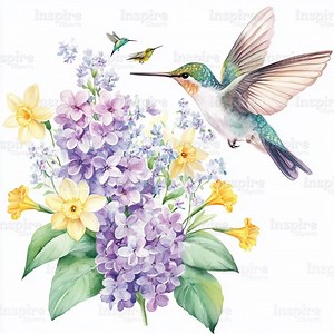 Hummingbird Watercolor Clipart: Spring Floral Illustrations (digital Download) - Etsy