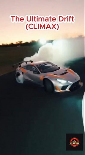 The Perfect Drift in Slow Motion 🔥🐒 #shorts #monkeys