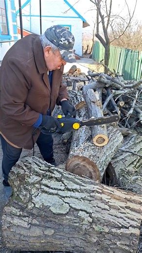 80-year-old cuts firewood like a pro #woodworking #chainsaw #satisfying #woodworking #woodcutting