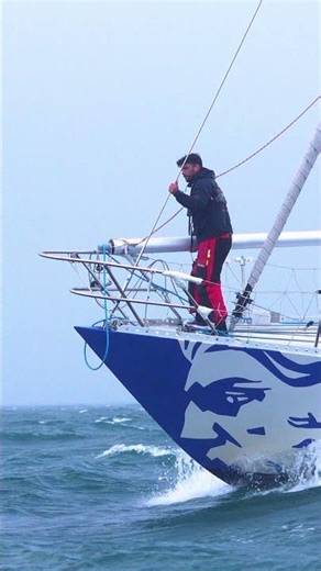 SUP Foil Downwind a côté du voilier Neptune