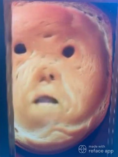 Experimental Bread Face Study – Investigative WIP Animation Process