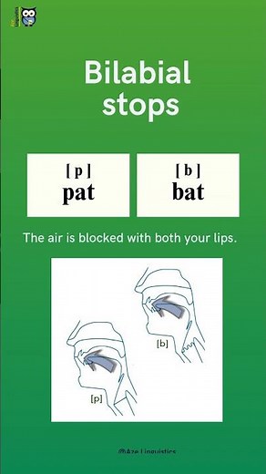 Stops, Fricatives, and Affricates: BILABIAL STOPS