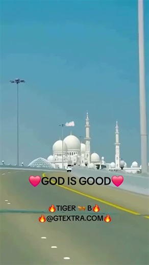 The General Tiger 🐅 B (@thegeneraltigerb)’s videos with original sound - THE WARRIOR