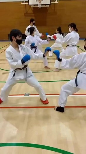 Basic kumite exercises in karate sport#karate #karateka #karatetechnique #karatechallenge #karatechampionship #kumite #kata #training #sports #sport #worldkaratefederation #top #mawashigeri #gyakutsuki #karatechallenge #karatedo #karatekid #karategirl #karate #gojuryu #shotokan
