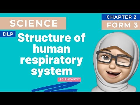 SCIENCE | KSSM| DLP | FORM 3 | CHAPTER 2 RESPIRATION | 2.1 STRUCTURE OF HUMAN RESPIRATORY SYSTEM
